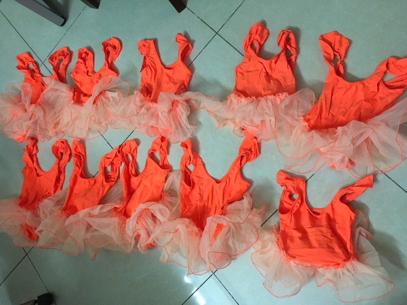 Váy Múa Ballet Cam – Bé Thiếu Nhi